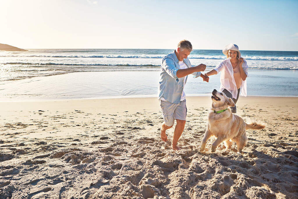 Happy couple, holding hands and at the beach with a dog in summer for retirement