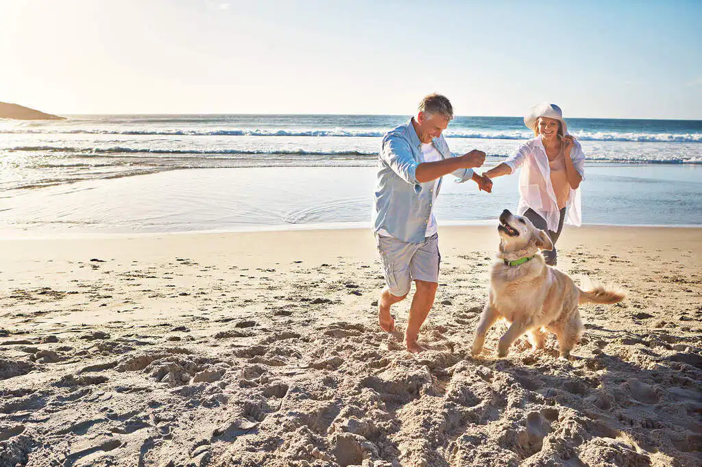 Happy couple, holding hands and at the beach with a dog in summer for retirement