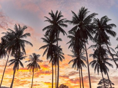 ¿Por qué jubilarse en Palm Beach? Una historia de sueños y planificación